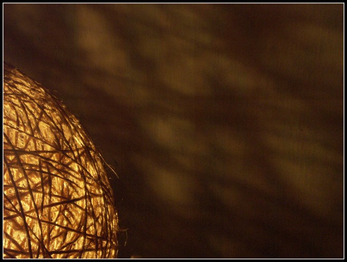 Dormance Petit chat Grain