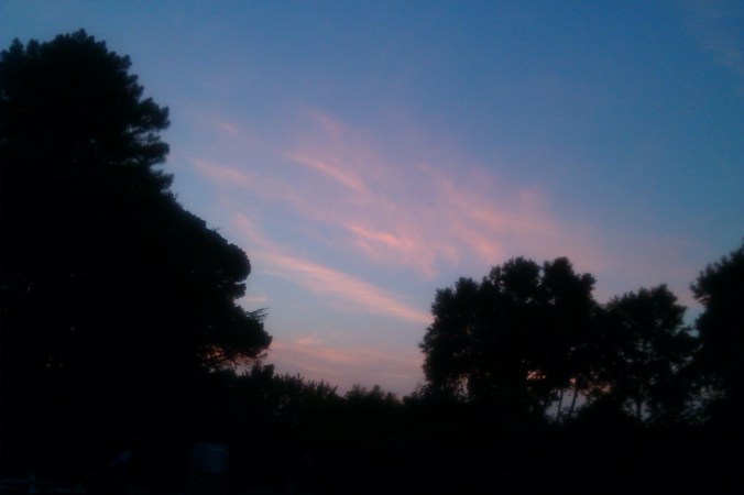 ciel d'été dormance Petit chat Grain