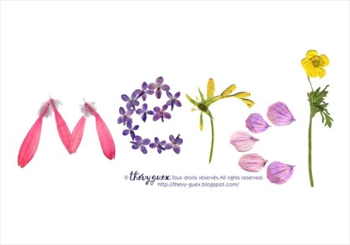 cartes-carte-merci-imprimee-herbier-fle-1015593-merci-aplatcopy-4dc14_570x0