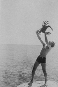 26147c48d156ab41f5d97130949eb7ee