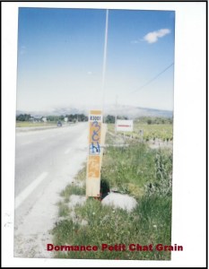 SKMBT_C224e15111212270_0001