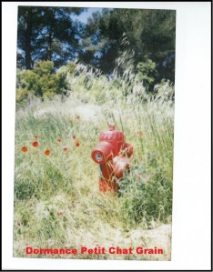 SKMBT_C224e15111212290_0001