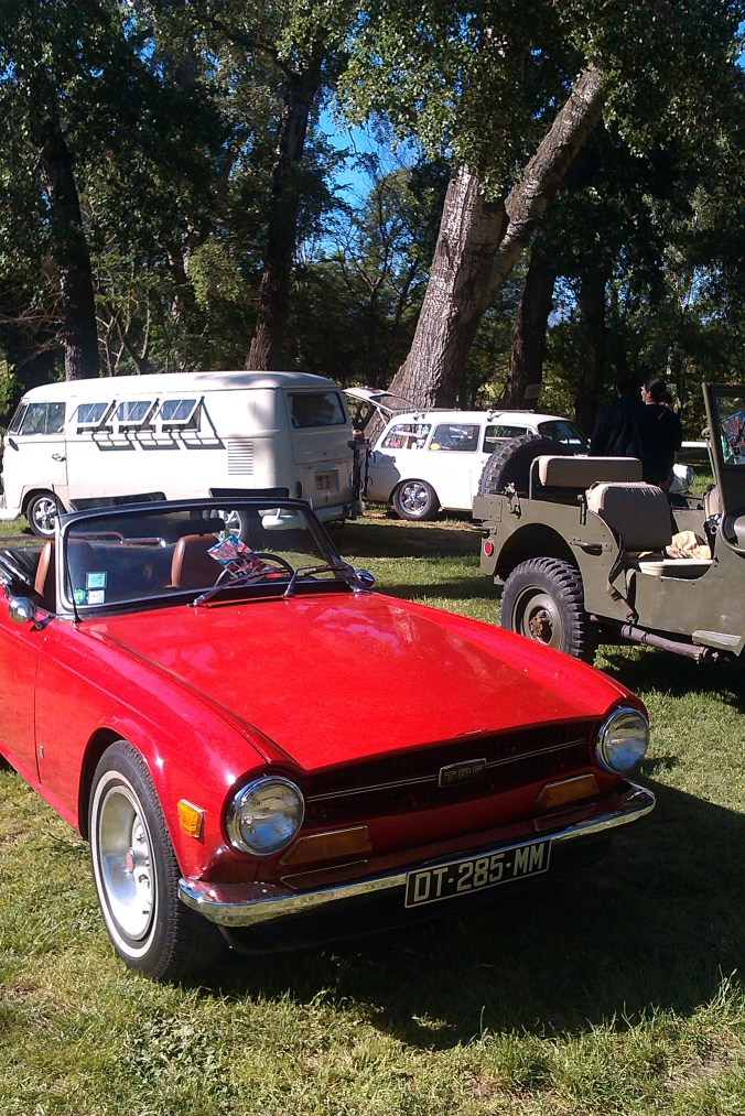 Crédit photo Dormance Petit Chat Grain