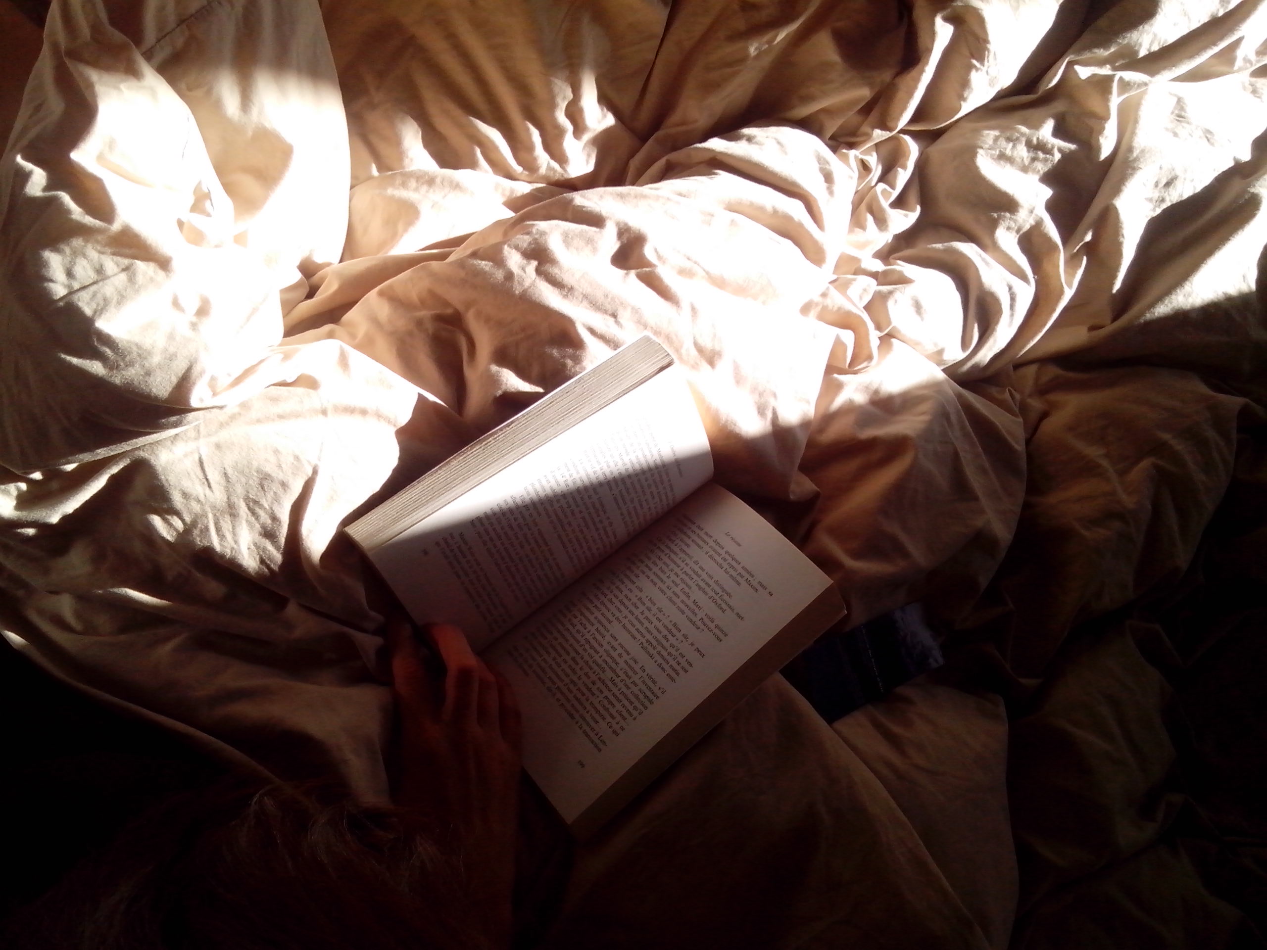 lecture Dormance Petit Chat Grain