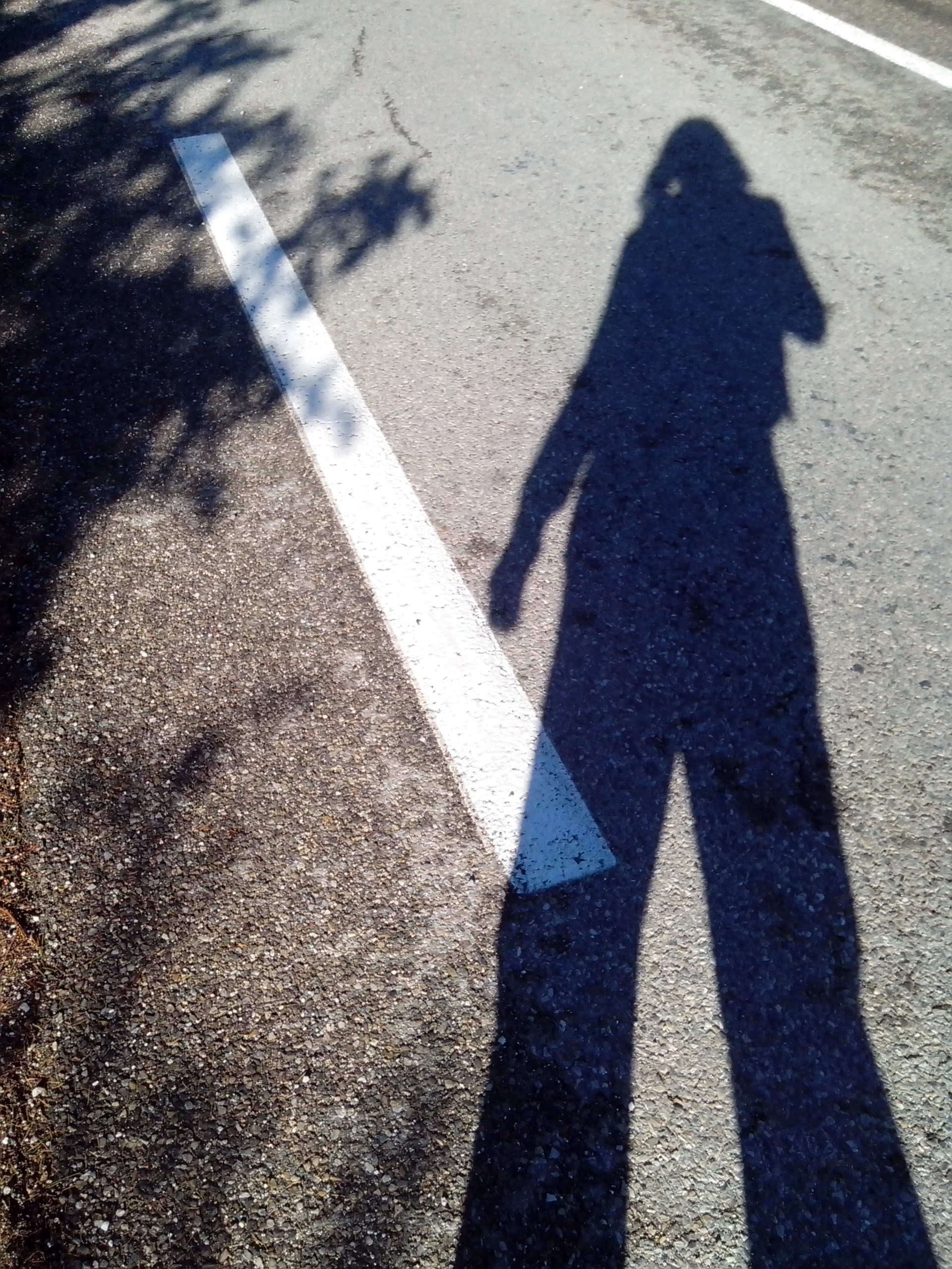 Dormance Petit Chat Grain