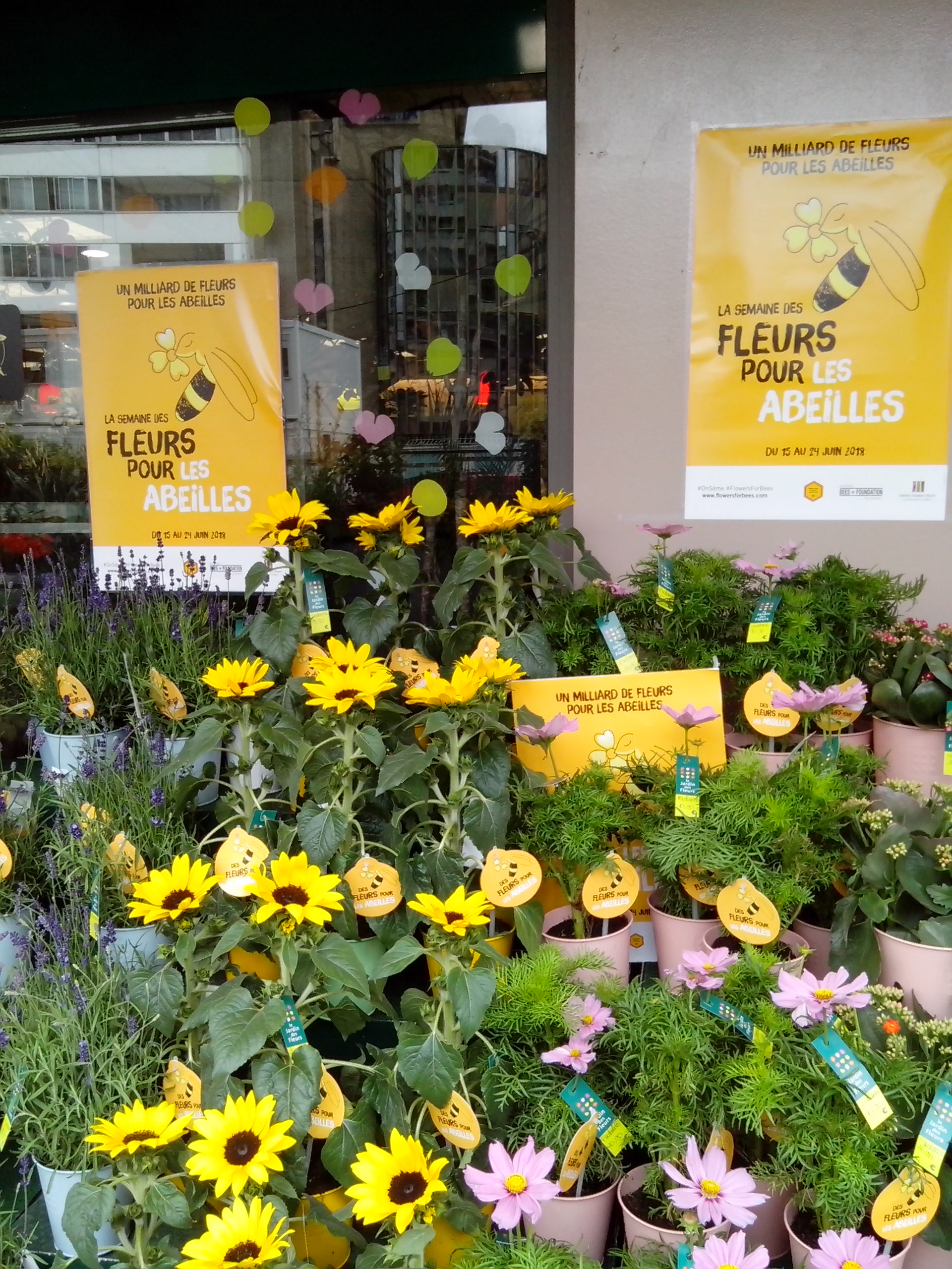 Des fleurs pour les abeilles