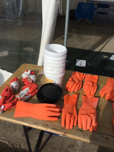 world clean up day Cancale